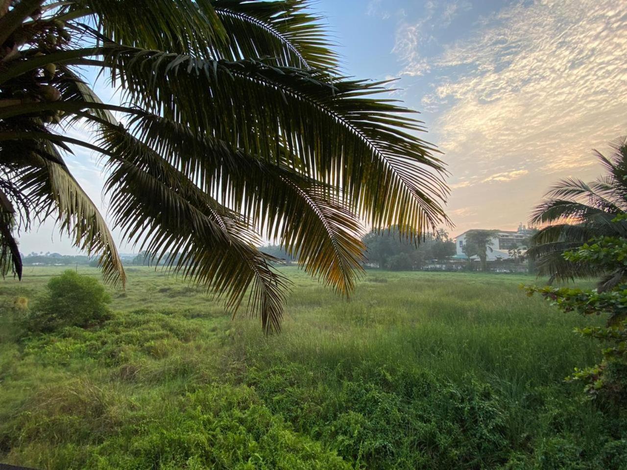 Hotel Green Field View Candolim Exterior foto